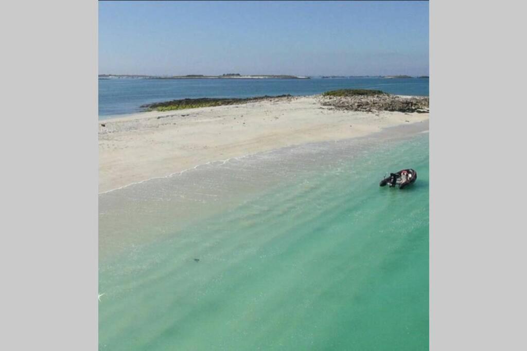 Appartement Jardin A 100M De La Plage Et Thalasso Concarneau Exteriör bild